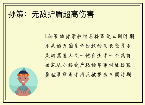 孙策：无敌护盾超高伤害